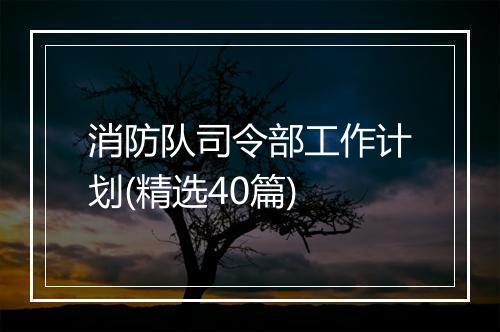 消防队司令部工作计划(精选40篇)