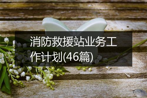 消防救援站业务工作计划(46篇)