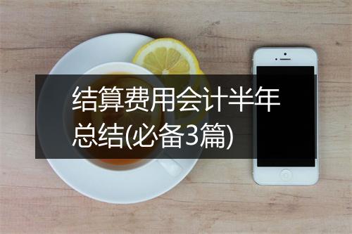 结算费用会计半年总结(必备3篇)