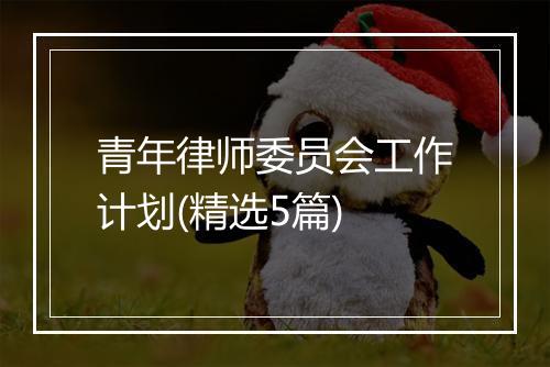 青年律师委员会工作计划(精选5篇)