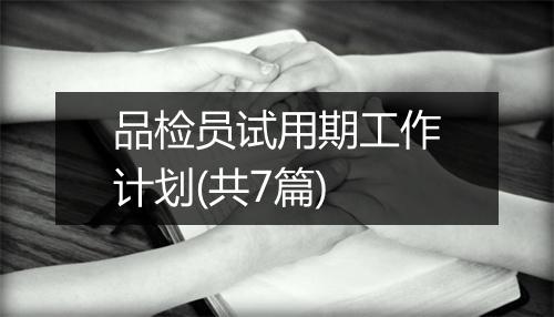 品检员试用期工作计划(共7篇)