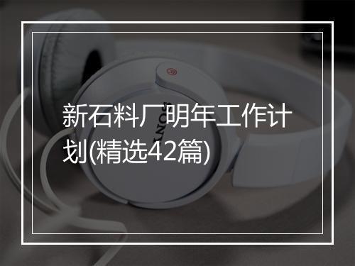 新石料厂明年工作计划(精选42篇)
