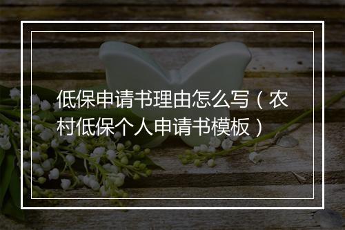 低保申请书理由怎么写(农村低保个人申请书模板)