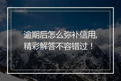 逾期后怎么弥补信用,精彩解答不容错过!