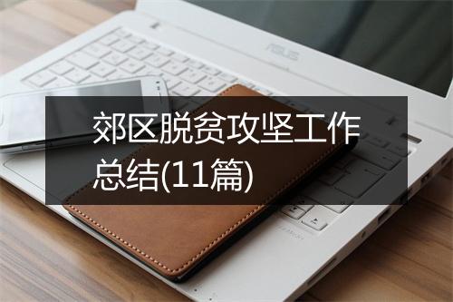 郊区脱贫攻坚工作总结(11篇)