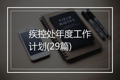 疾控处年度工作计划(29篇)