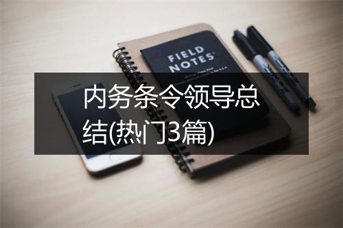 内务条令领导总结(热门3篇)