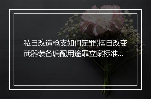 私自改造枪支如何定罪(擅自改变武器装备编配用途罪立案标准是怎样)