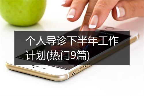 个人导诊下半年工作计划(热门9篇)
