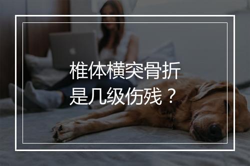 椎体横突骨折是几级伤残?