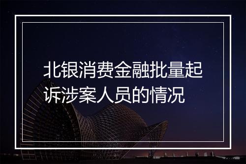 北银消费金融批量起诉涉案人员的情况