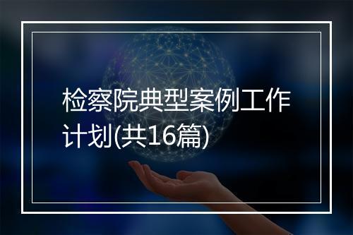 检察院典型案例工作计划(共16篇)