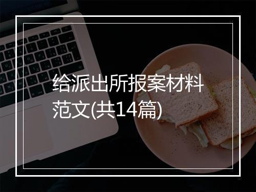给派出所报案材料范文(共14篇)