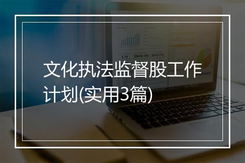 文化执法监督股工作计划(实用3篇)