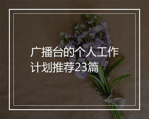 广播台的个人工作计划推荐23篇