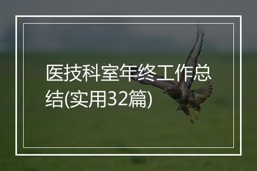 医技科室年终工作总结(实用32篇)