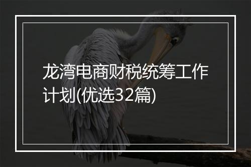 龙湾电商财税统筹工作计划(优选32篇)