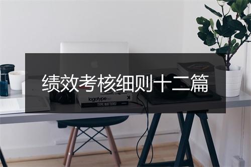 绩效考核细则十二篇
