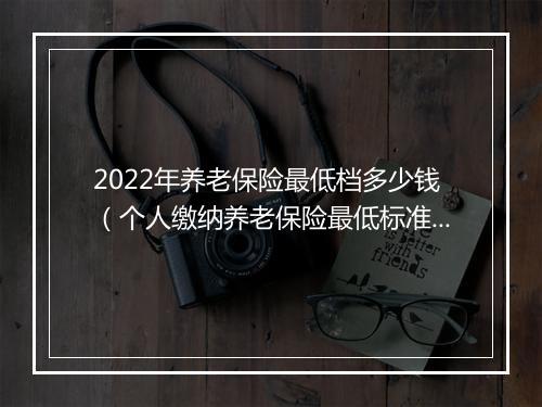 2022年养老保险最低档多少钱(个人缴纳养老保险最低标准)