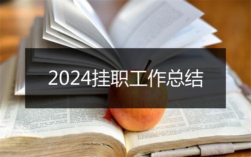 2024挂职工作总结