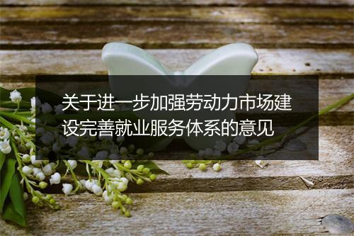 关于进一步加强劳动力市场建设完善就业服务体系的意见