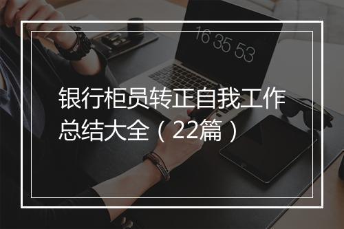 银行柜员转正自我工作总结大全(22篇)