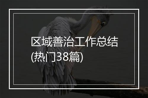 区域善治工作总结(热门38篇)