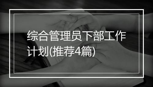 综合管理员下部工作计划(推荐4篇)