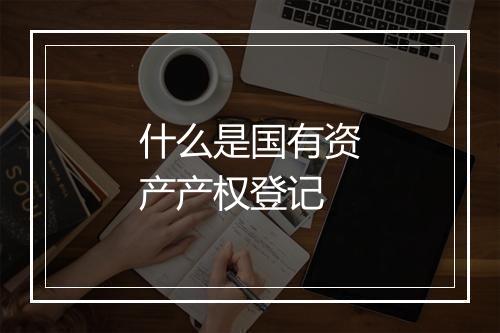 什么是国有资产产权登记