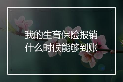 我的生育保险报销什么时候能够到账