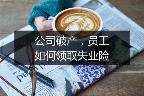 公司破产,员工如何领取失业险