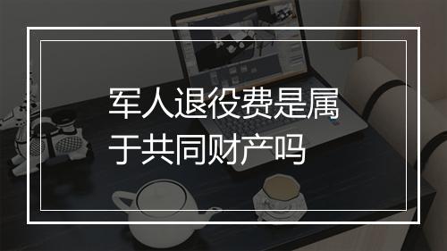 军人退役费是属于共同财产吗