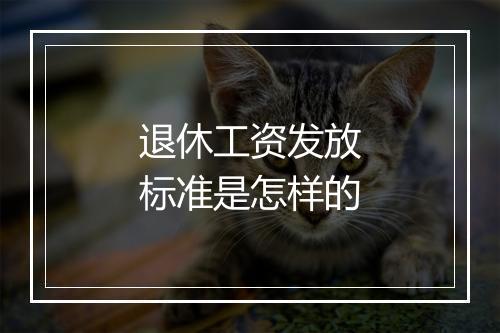 退休工资发放标准是怎样的