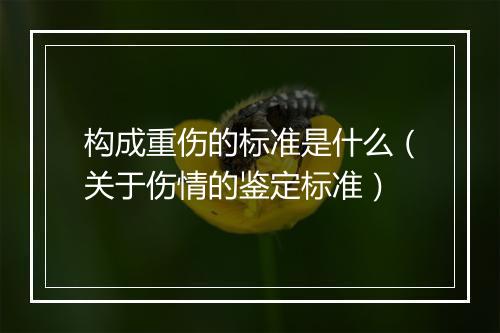 构成重伤的标准是什么(关于伤情的鉴定标准)