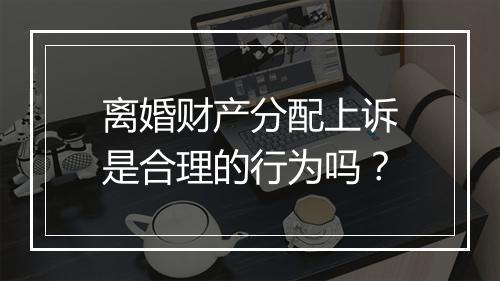 离婚财产分配上诉是合理的行为吗?
