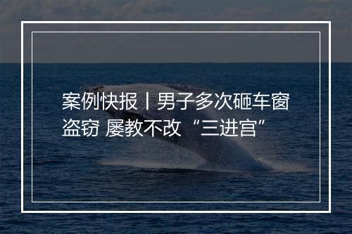 案例快报丨男子多次砸车窗盗窃 屡教不改“三进宫”