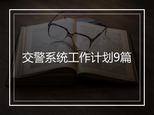 交警系统工作计划9篇