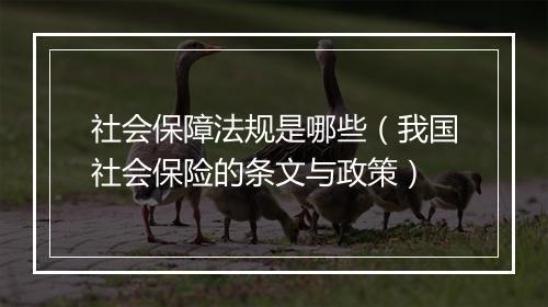 社会保障法规是哪些(我国社会保险的条文与政策)