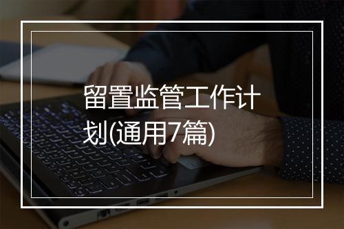 留置监管工作计划(通用7篇)