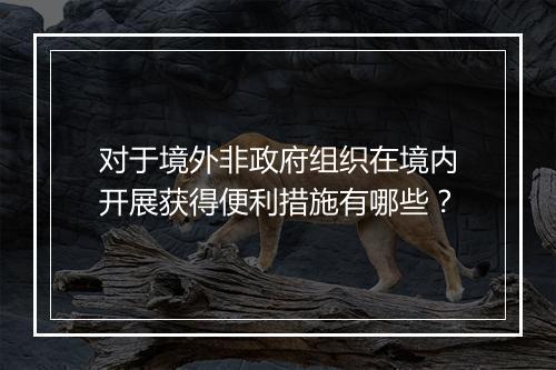 对于境外非政府组织在境内开展获得便利措施有哪些?