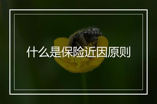 什么是保险近因原则