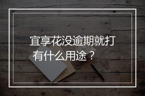 宜享花没逾期就打 有什么用途?