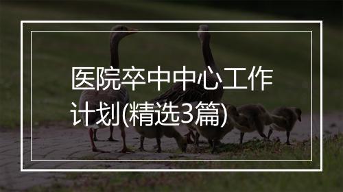 医院卒中中心工作计划(精选3篇)