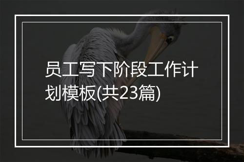 员工写下阶段工作计划模板(共23篇)