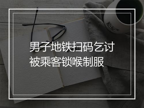 男子地铁扫码乞讨被乘客锁喉制服