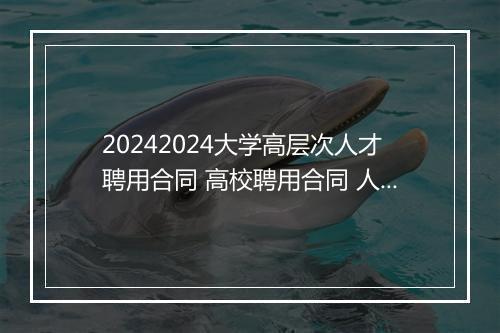 20242024大学高层次人才聘用合同 高校聘用合同 人才引进协议