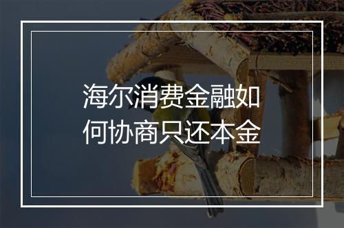 海尔消费金融如何协商只还本金