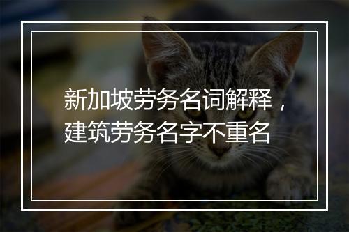 新加坡劳务名词解释,建筑劳务名字不重名
