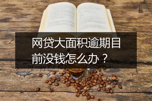 网贷大面积逾期目前没钱怎么办?