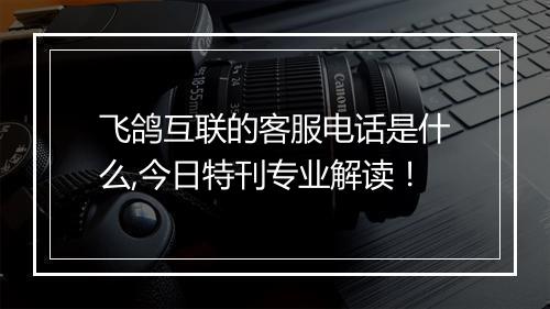 飞鸽互联的客服电话是什么,今日特刊专业解读!